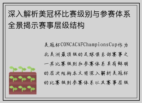 深入解析美冠杯比赛级别与参赛体系全景揭示赛事层级结构